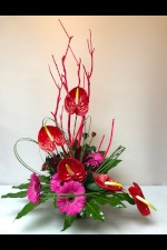 Hot Tropic occasions Flowers